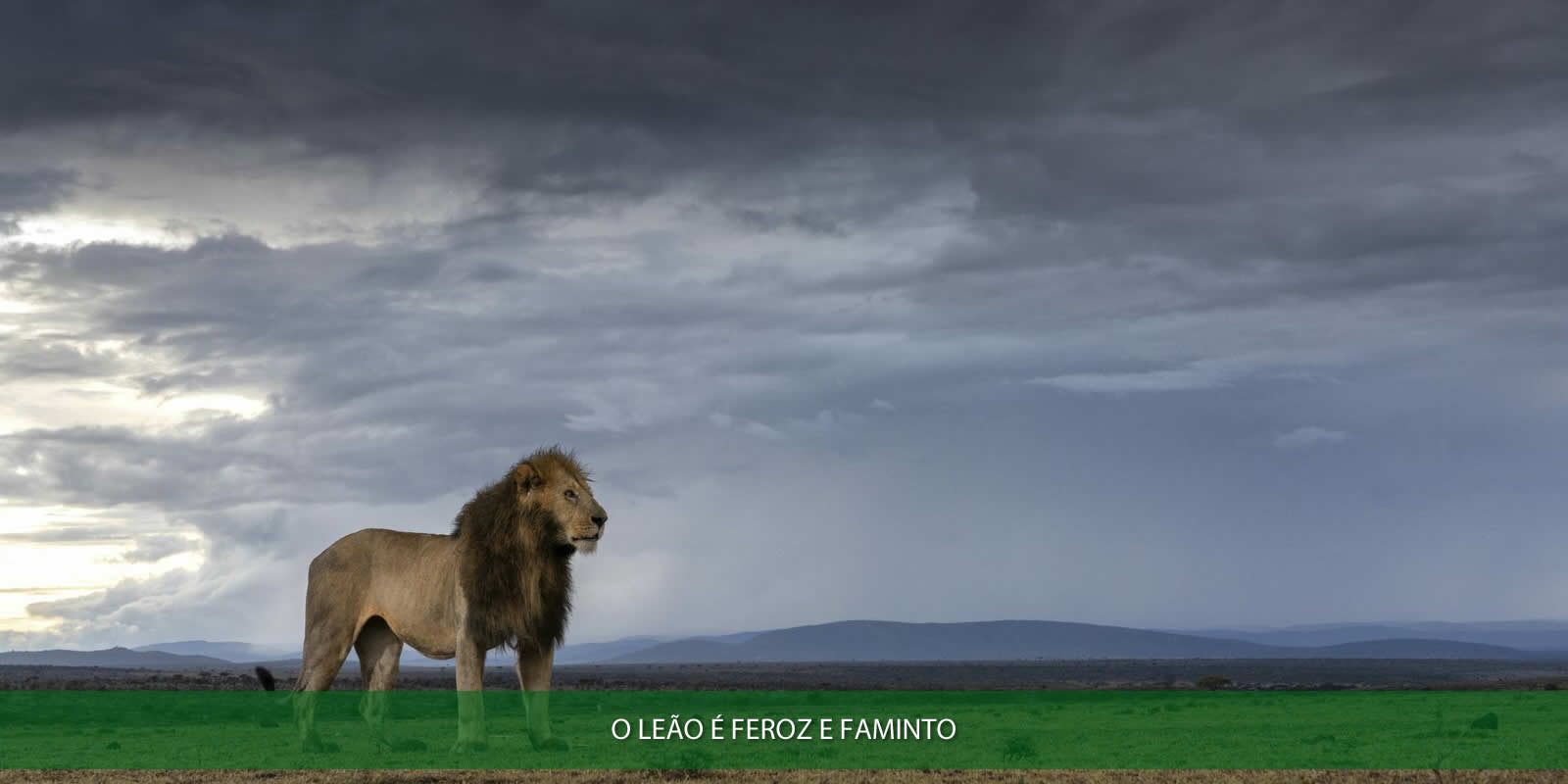 Figura 2 - CNPJ INAPTO. COMO RESOLVER ESTE PROBLEMA MAIS SÉRIO DO QUE PARECE